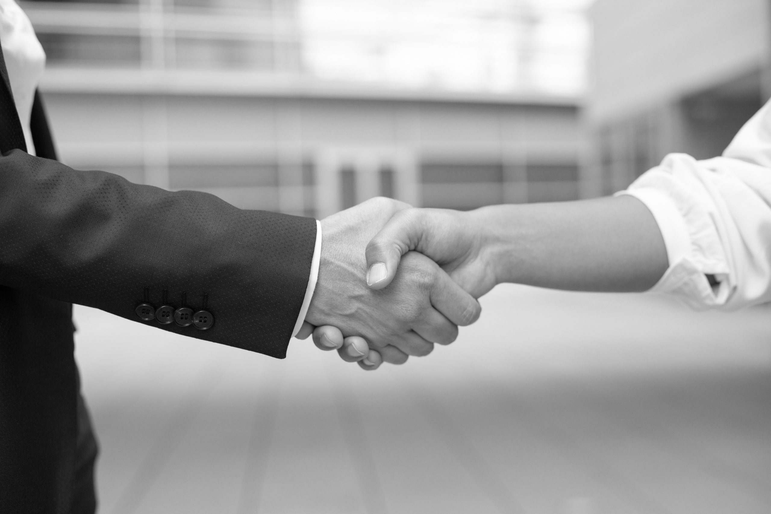 programy partnerskie - co to